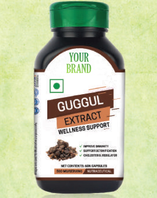  Guggul Capsules, for Supplement Diet, Certification : FSSAI Certified