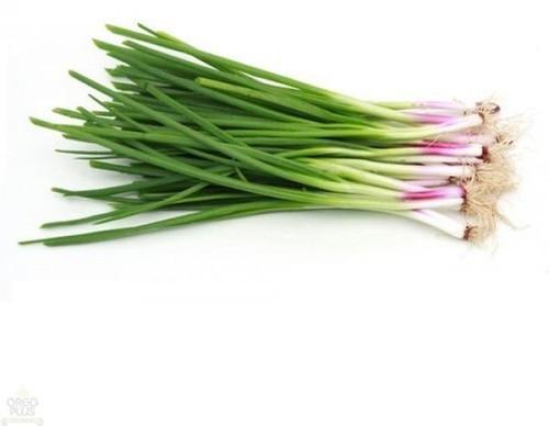 Organic Fresh Spring Onion, for Cooking, Fast Food, Snacks, Color : Green