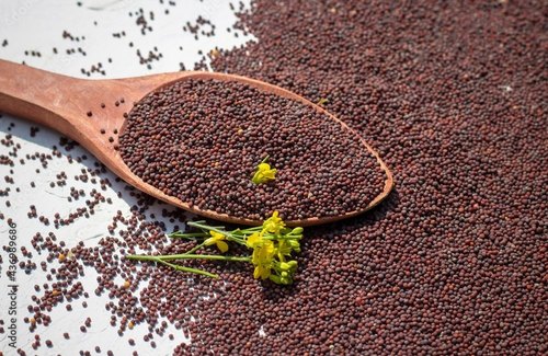 Mustard Seeds, for Spices