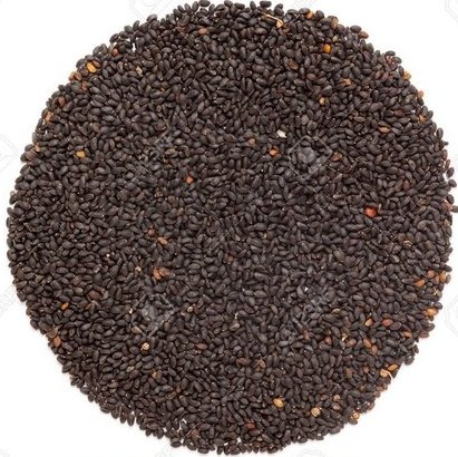 Rama Basil Seeds