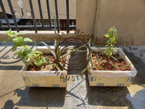 Rectangular Gardening Box