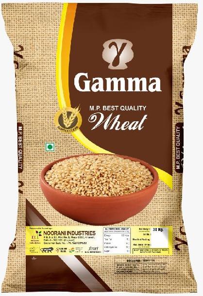 Gamma Wheat Seeds, for Chapati, Khakhara, Roti, Style : Dried