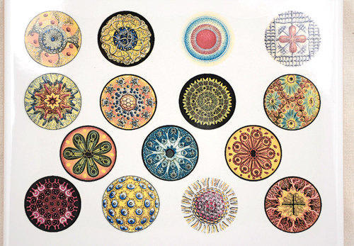 Printed Fusing Stickers, Color : Multicolor