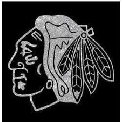 Glitter Transfer Stickers