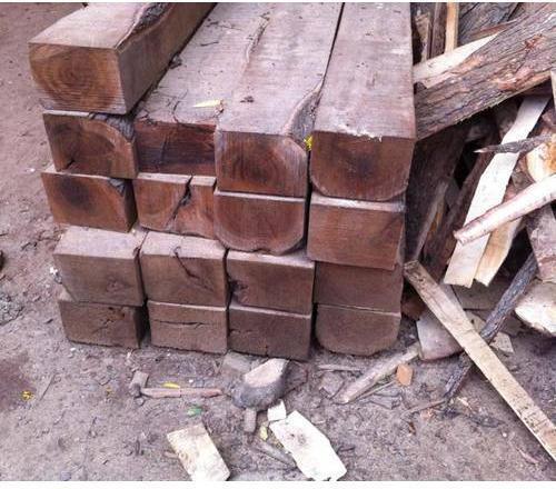 Pure Babool Wood