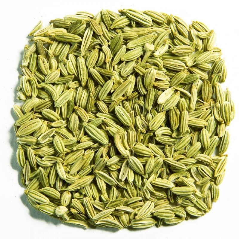Organic fennel seeds, Color : Green
