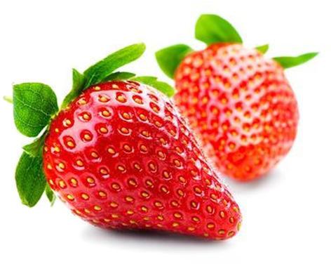 Organic fresh strawberry, Freezing Process : Cold Storage