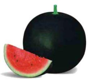 S1G WM-SU8001 Hybrid Watermelon Seeds, Color : Blackish Green, Deep Red Crispy Flesh