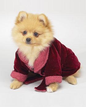 Small Dog Bathrobes, Feature : soft gentle, EASY TO USE, DURABLE, Customize Color Design.