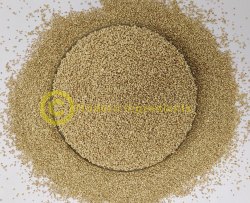 Quinoa Seeds