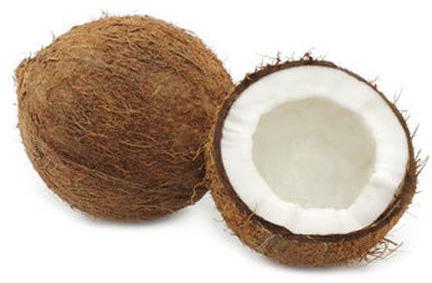Semi Husked Organic fresh coconut, for Pooja, Cooking, Packaging Type : Gunny Bags, Jute Bags
