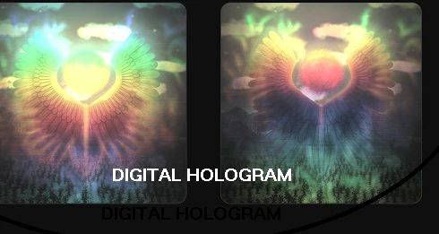 Digital Holograms