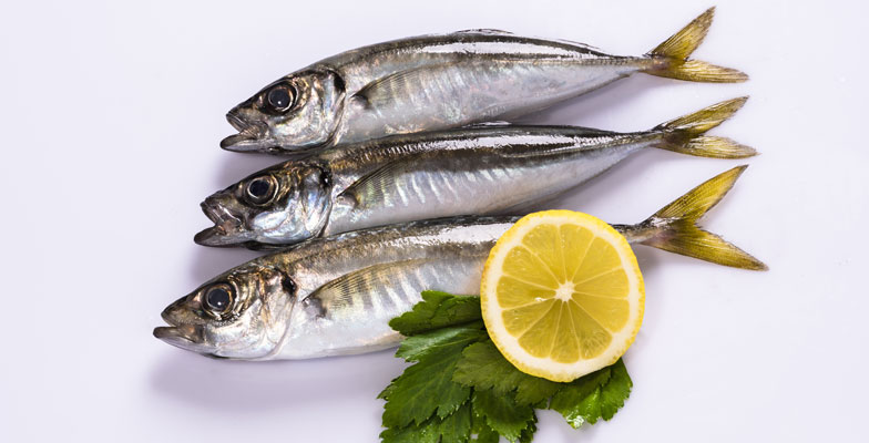 Fresh Horse Mackerel Fish, Certification : FDA Certified