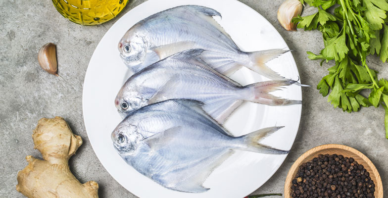 Fresh Silver-Pomfret Fish, for Human Consumption, Making Medicine
