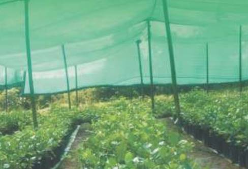 Agro Shade Net, Length : 50 meter