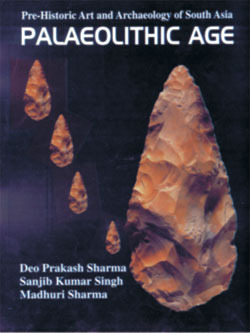 Palaeolithic Age Book