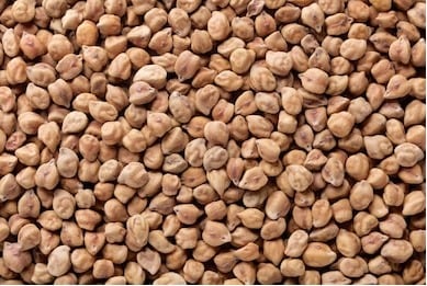 Solid Natural Brown channa, for Cooking, Specialities : Pure
