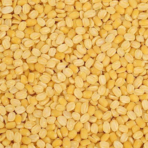 Yellow Unpolished Extra Bold Moong Dal