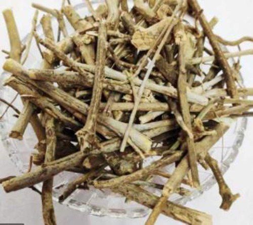 Adhatoda Vasica Twigs
