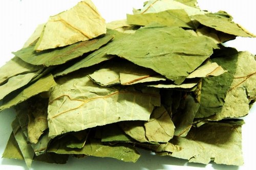 Dried Nelumbo Nucifera Leaf