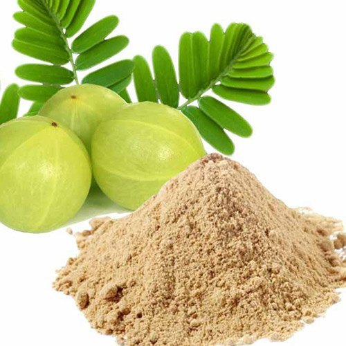 Swathy Naturals Phyllanthus Emblica Powder, Packaging Size : 100 gm