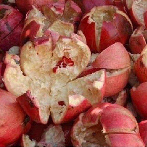 Punica Granatum Peel