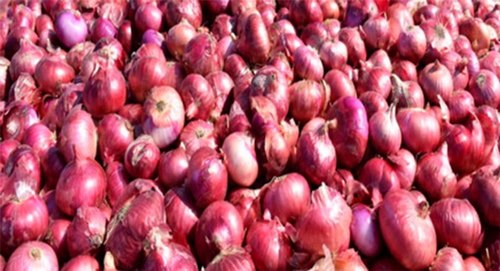 Dry Red Onion