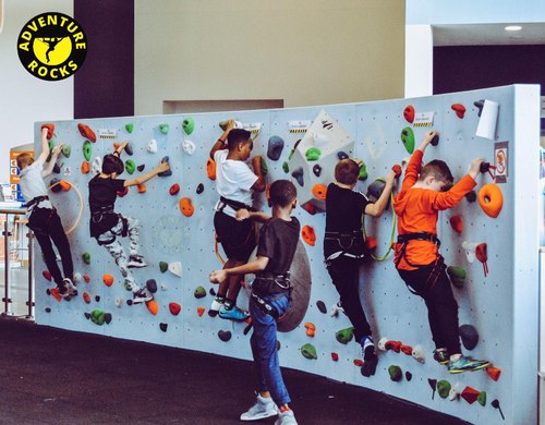 Fiber Coated Kids Room Climbing Wall, Feature : Best Quality, Highly Flexible, Material Used, Timely Executed