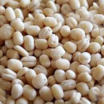 Organic Whole Urad Dal, Form : Seeds