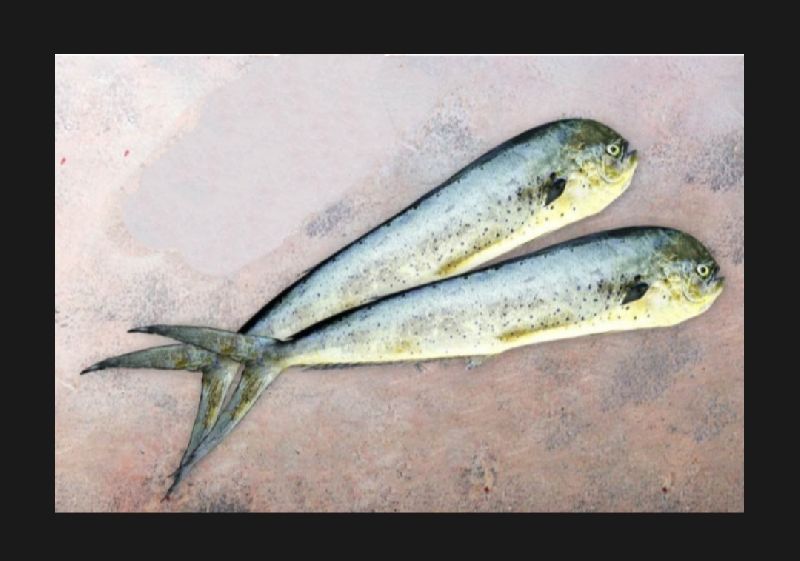 Mahimahi Fish
