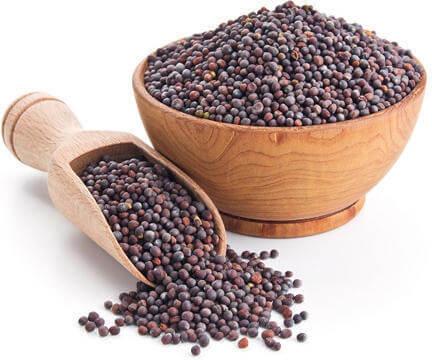 Organic Mustard Seeds, for Cooking, Grade Standard : Food Grade