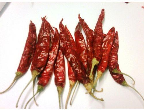 Sannam Red Chilli, Packaging Type : Loose, Poly Bag, PP Bag, Jute bag