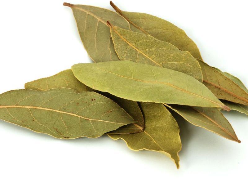 Organic Dried Bay Leaves, Feature : Exceptional Purity, Good Quality, Highly Effective, Insect Free