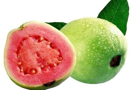 Organic fresh guava, Packaging Type : Plastic Packet