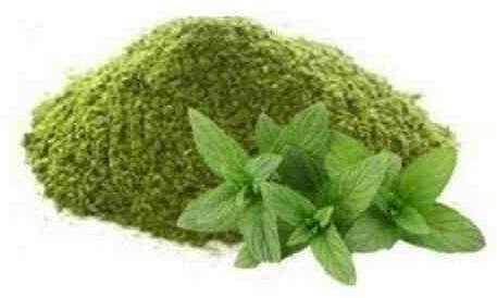 Spearmint Leaves Powder, for Pharma, Tea, Packaging Size : 15 Kg.