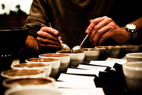 Coffee Testing Services