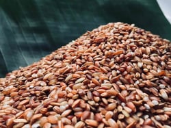 Assamese Red-rice, Feature : Medium long., Erect, Dwarf, Fine grained