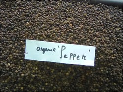 Organic Black Pepper Seeds, for Cooking, Feature : Fresh, Good Quality, Pure