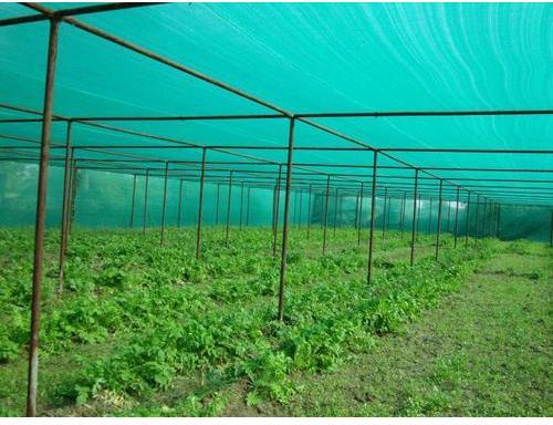 Nylon Agriculture Shade Net, Length : 25m to 50 m