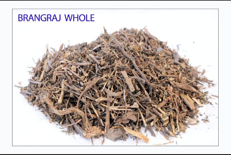 Common Bhringraj Roots, for Strengthening, Conditioning, Anti-allergic, Hair Care