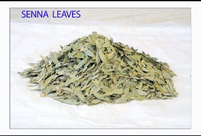 Natural Dry Senna Leaves, Feature : Aromatic Fragrance, Good Flavour, Healthy To Drink