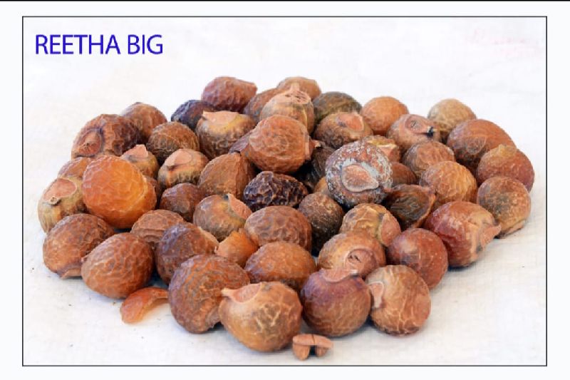 Dry Soap Nuts, for Cleansing Lotion, Protein Shampoo, Washing Cloths, Feature : Fresh, Good Quality