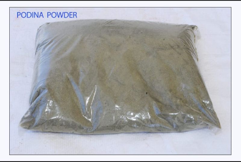 Natural Mint Powder, Packaging Type : Plastic Bag, Plastic Box, Plastic Pouch