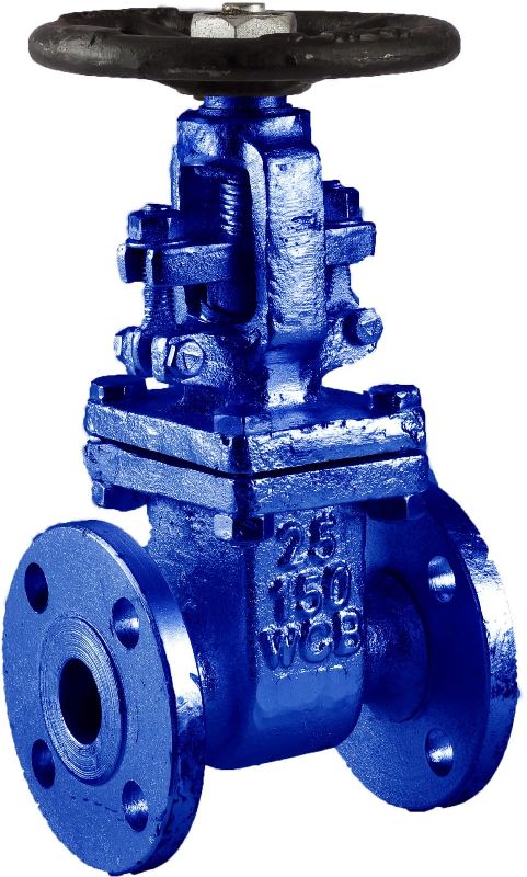 TIRTH Cast Steel globe valve