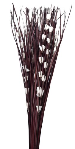 Dried Flower Stick Bouquet, Color : Brown White