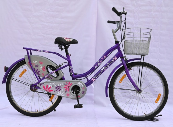 RW-61 Ladies Bicycle