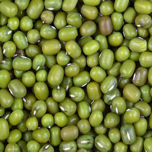 Organic Whole Green Moong Dal, Form : Seeds