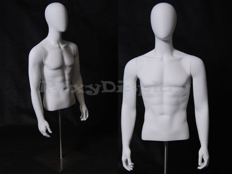 Male Torso