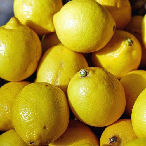 Round Common Fresh Lemon, for Drinks, Fast Food, Pickles, Taste : Sour