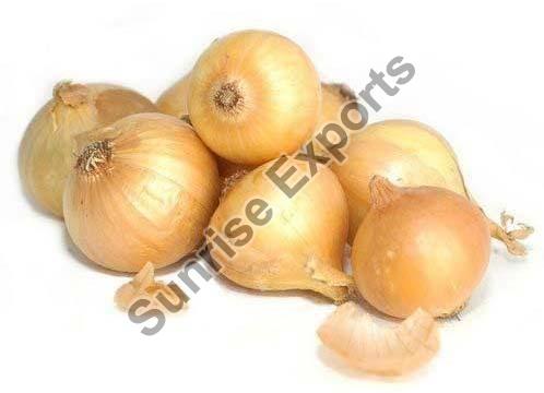 Organic Fresh Yellow Onion, for Cooking, Enhance The Flavour, Human Consumption, Packaging Type : Jute Bags